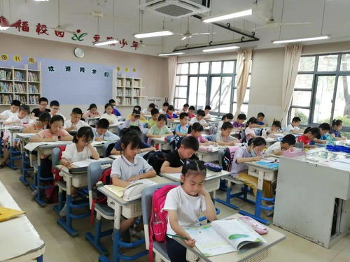 上城区小学生暑期托管今日开班